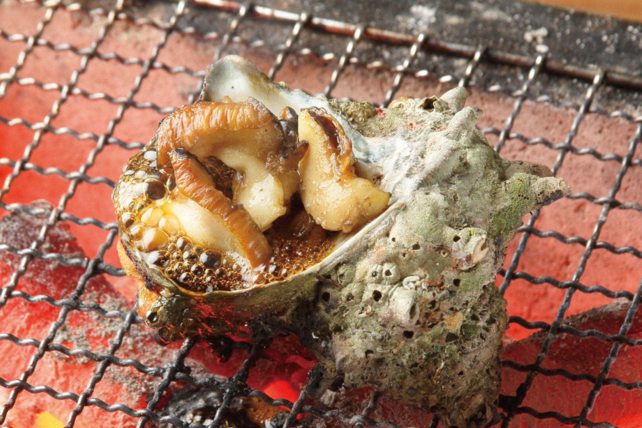日本海庄やグランドメニュー　焼・炒　旬の貝焼き　活さざえ　つぼ焼き　日本海庄や　(株)かんなん丸
